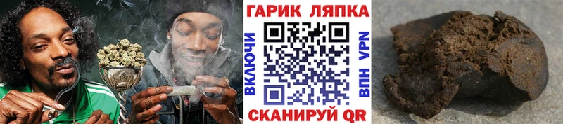 цены наркотик  Дальнегорск  мега зеркало  ГАШИШ Premium 